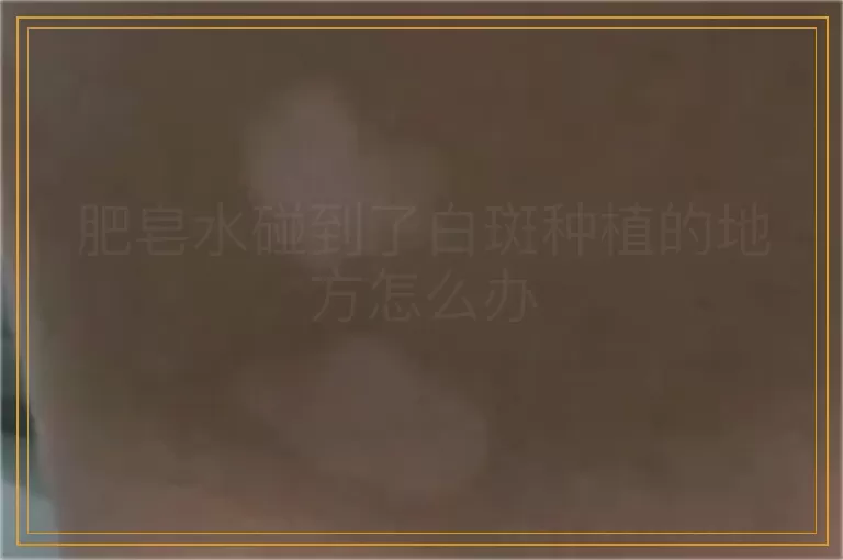 肥皂水碰到了白斑种植的地方怎么办