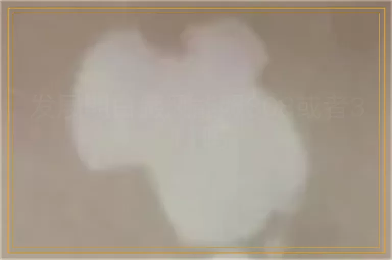 发展期白癜风能照308或者311吗