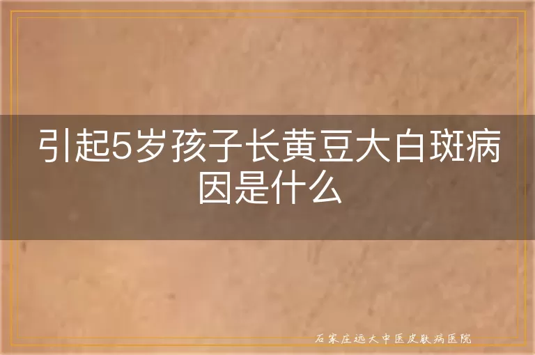 引起5岁孩子长黄豆大白斑病因是什么