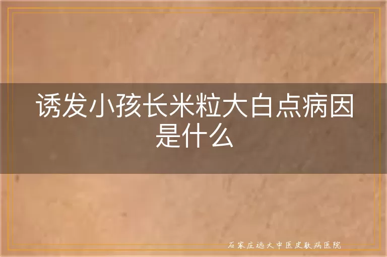 诱发小孩长米粒大白点病因是什么