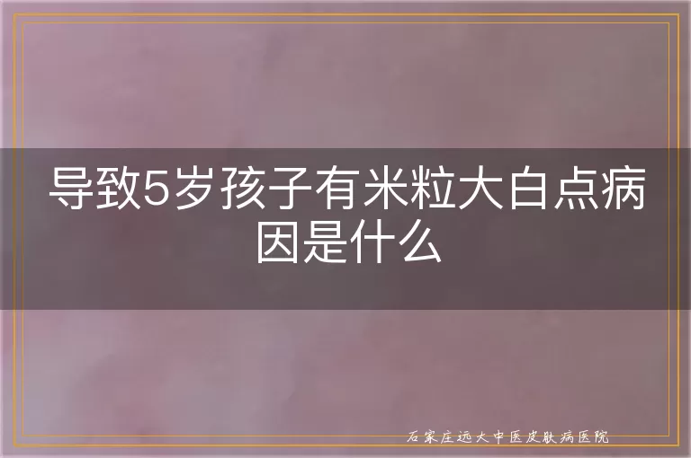导致5岁孩子有米粒大白点病因是什么