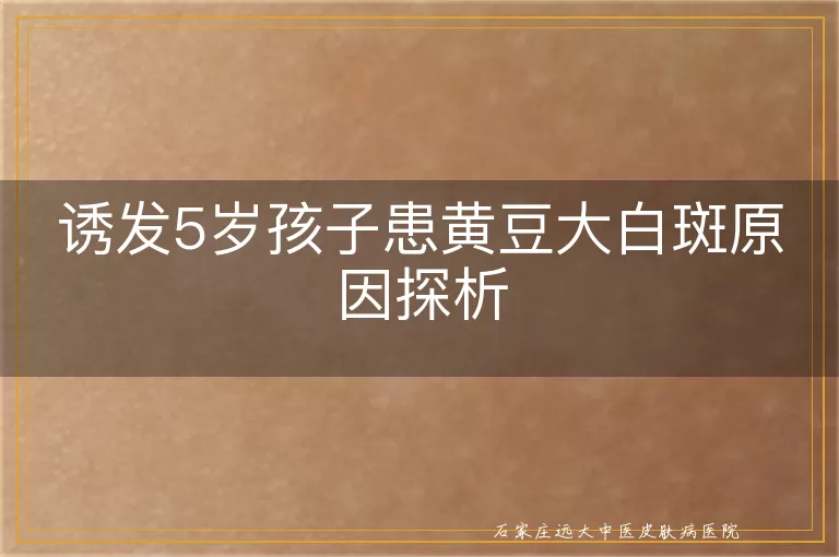 诱发5岁孩子患黄豆大白斑原因探析