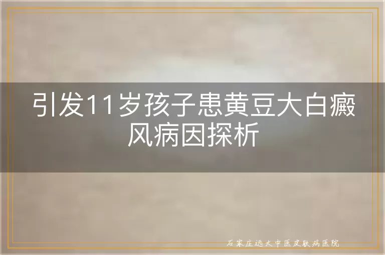 引发11岁孩子患黄豆大白癜风病因探析