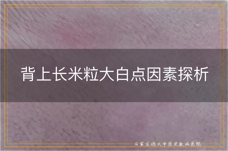 背上长米粒大白点因素探析