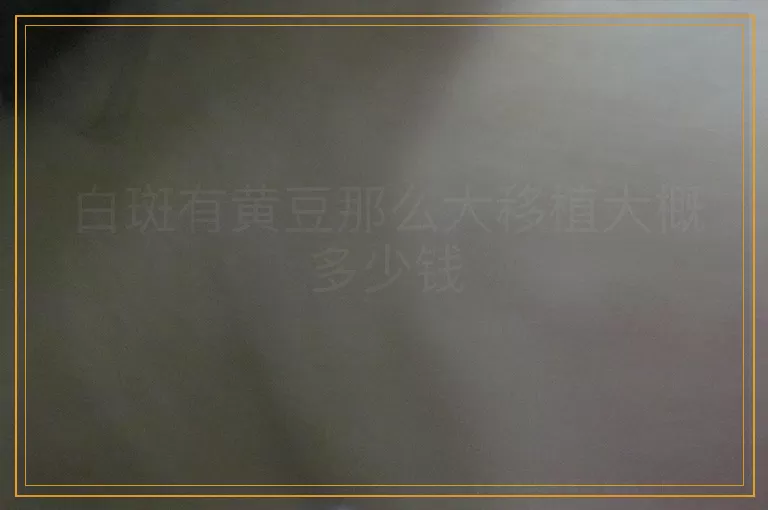 白斑有黄豆那么大移植大概多少钱