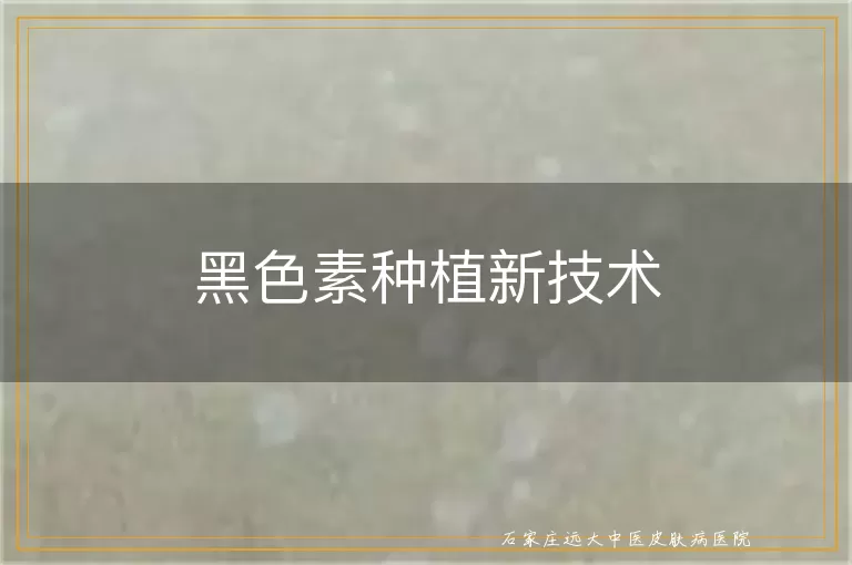 黑色素种植新技术