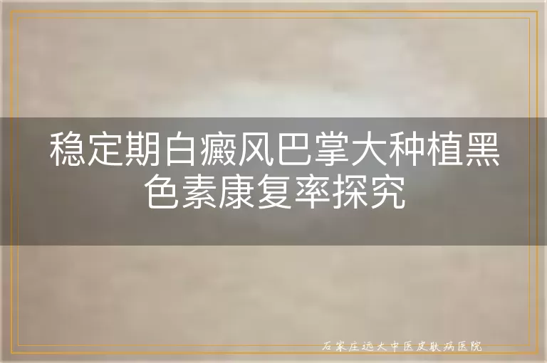 稳定期白癜风巴掌大种植黑色素康复率探究
