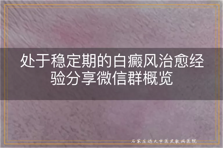 处于稳定期的白癜风治愈经验分享微信群概览