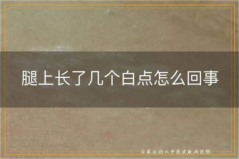腿上长了几个白点怎么回事