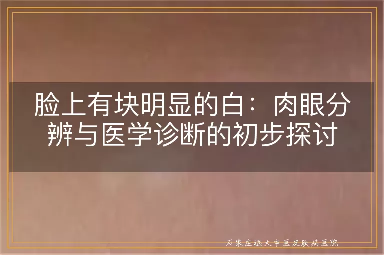 脸上有块明显的白：肉眼分辨与医学诊断的初步探讨