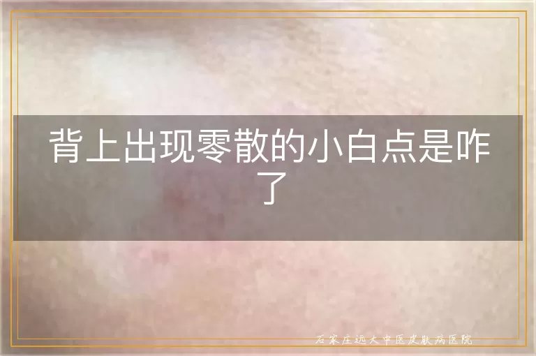 背上出现零散的小白点是咋了
