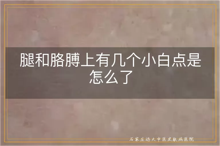 腿和胳膊上有几个小白点是怎么了