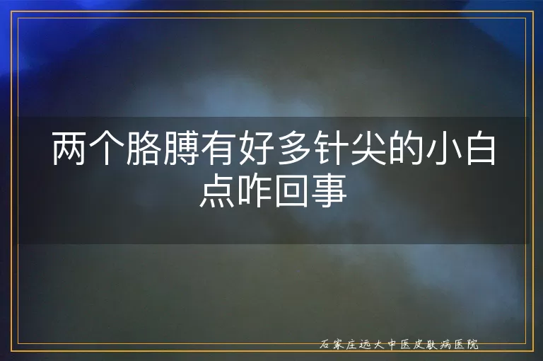 两个胳膊有好多针尖的小白点咋回事