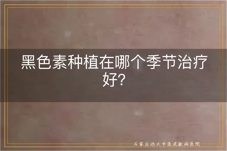 黑色素种植在哪个季节治疗好？