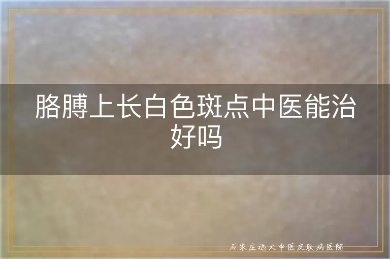 胳膊上长白色斑点中医能治好吗