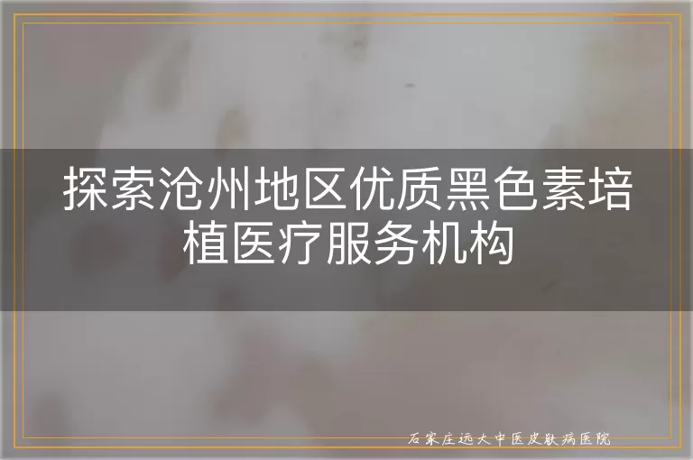 探索沧州地区优质黑色素培植医疗服务机构