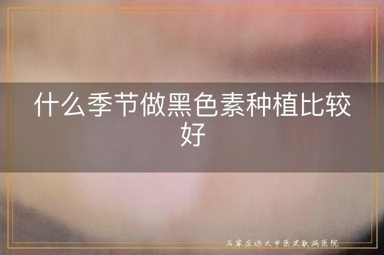 什么季节做黑色素种植比较好