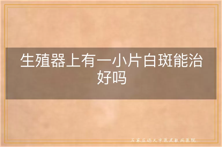生殖器上有一小片白斑能治好吗